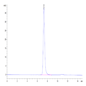 Mouse ICAM-1/CD54 Protein (ICM-MM101)