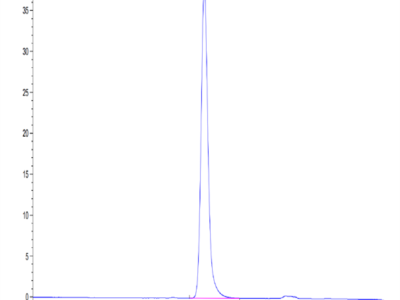 Mouse ICAM-1/CD54 Protein (ICM-MM101)
