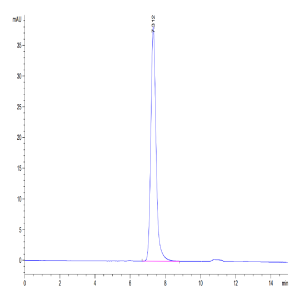 Mouse ICAM-1/CD54 Protein (ICM-MM101) Mouse ICAM-1/CD54 Protein (ICM-MM101)