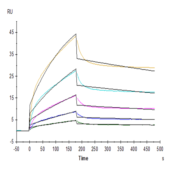 Human ICOS/CD278 Protein (ICO-HM201)