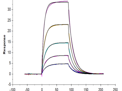 Mouse ICOS/CD278 Protein (ICO-MM201)