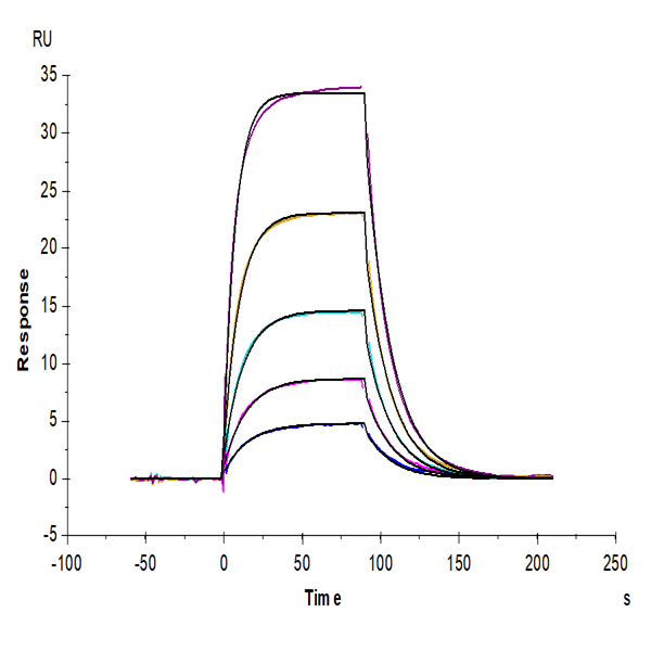 Mouse ICOS/CD278 Protein (ICO-MM201) Mouse ICOS/CD278 Protein (ICO-MM201)