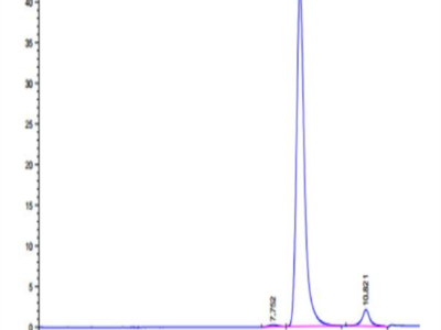 Human IDH1 Protein (IDH-HE101)