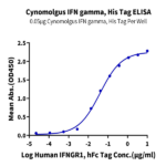 Cynomolgus IFN gamma/IFNG Protein (IFN-CM10G)