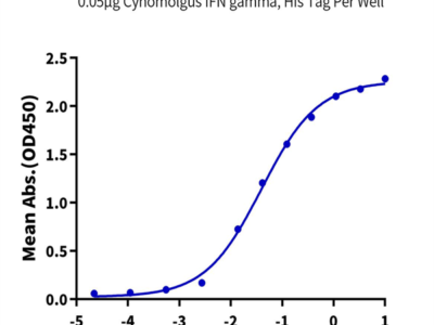 Cynomolgus IFN gamma/IFNG Protein (IFN-CM10G)