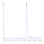 Cynomolgus IFN gamma/IFNG Protein (IFN-CM10G)