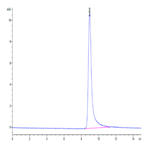 Cynomolgus IFN gamma/IFNG Protein (IFN-CM10G)