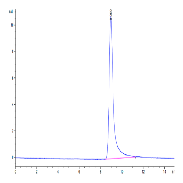 Cynomolgus IFN gamma/IFNG Protein (IFN-CM10G)