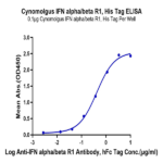 Cynomolgus IFN alpha/beta R1 Protein (IFN-CM1R1)