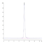 Cynomolgus IFN alpha/beta R1 Protein (IFN-CM1R1)