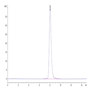 Cynomolgus IFN alpha/beta R1 Protein (IFN-CM1R1)