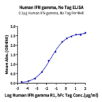 Human IFN gamma/IFNG Protein (IFN-HM00G)