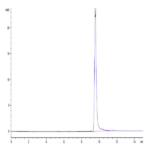 Human IFN gamma/IFNG Protein (IFN-HM00G)