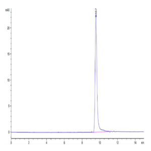 Human IFN gamma/IFNG Protein (IFN-HM00G)