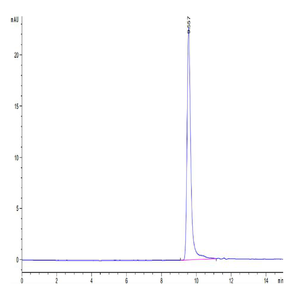 Human IFN gamma/IFNG Protein (IFN-HM00G)