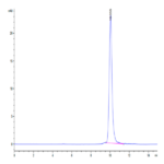 Human Interferon omega-1 Protein (IFN-HM101)