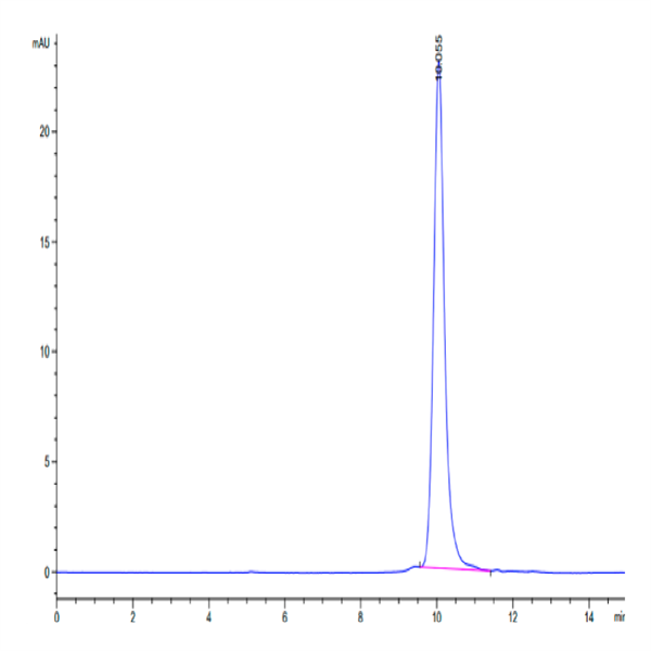 Human Interferon omega-1 Protein (IFN-HM101) Human Interferon omega-1 Protein (IFN-HM101)