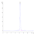 Human IFN alpha/beta R2 Protein (IFN-HM10R)
