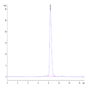 Human IFN alpha/beta R2 Protein (IFN-HM10R)