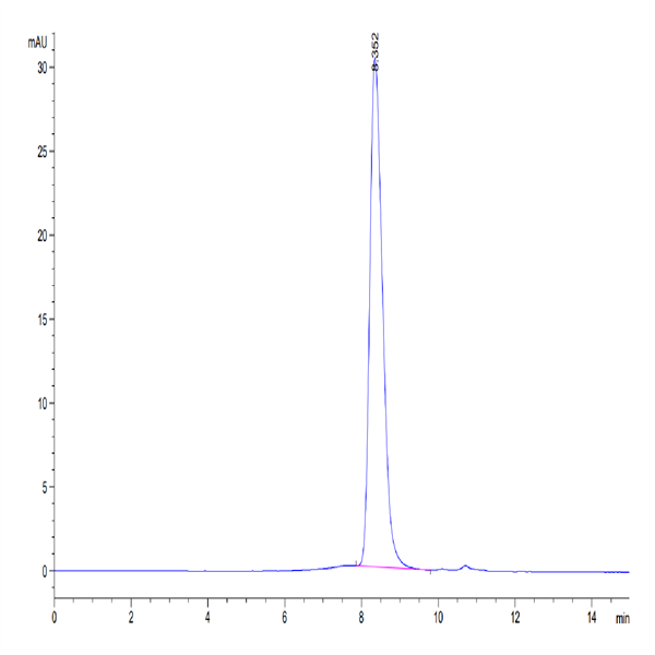 Human IFN alpha/beta R2 Protein (IFN-HM10R)