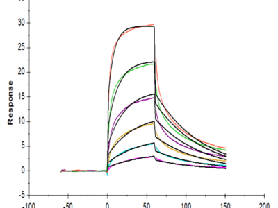 Human IFN alpha 1 Protein (IFN-HM2A1)