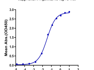 Human IFN gamma R1/IFNGR1 Protein (IFN-HM2GR)