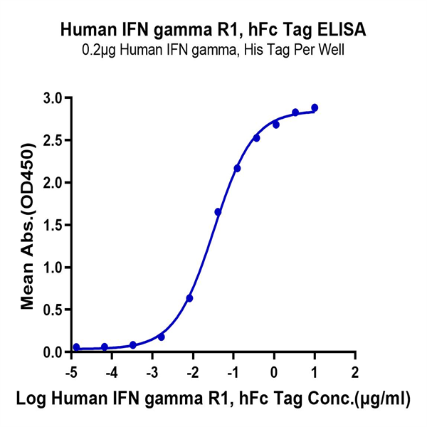 Human IFN gamma R1/IFNGR1 Protein (IFN-HM2GR) Human IFN gamma R1/IFNGR1 Protein (IFN-HM2GR)
