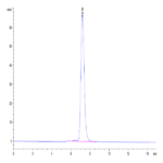 Human IFN gamma R1/IFNGR1 Protein (IFN-HM2GR)