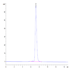 Human IFN gamma R1/IFNGR1 Protein (IFN-HM2GR)
