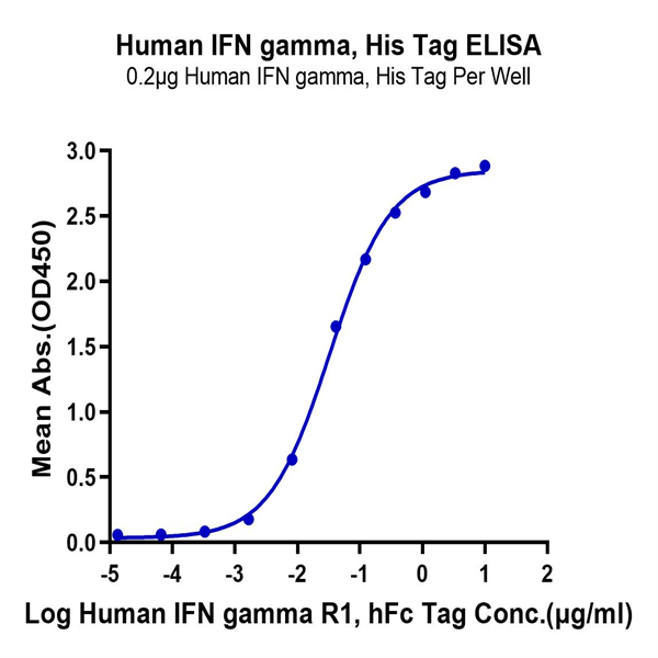 Human IFN gamma/IFNG Protein (IFN-HM40G) Human IFN gamma/IFNG Protein (IFN-HM40G)