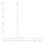 Human IFN gamma/IFNG Protein (IFN-HM40G)