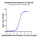 Biotinylated Human IFN gamma/IFNG Protein (IFN-HM40GB)