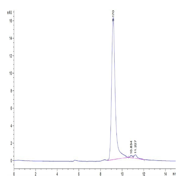 Biotinylated Human IFN gamma/IFNG Protein (IFN-HM40GB)