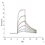 Human IFN alpha/beta R1 Protein (IFN-HM4R1)