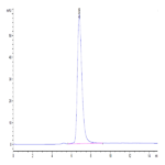 Human IFN alpha/beta R1 Protein (IFN-HM4R1)