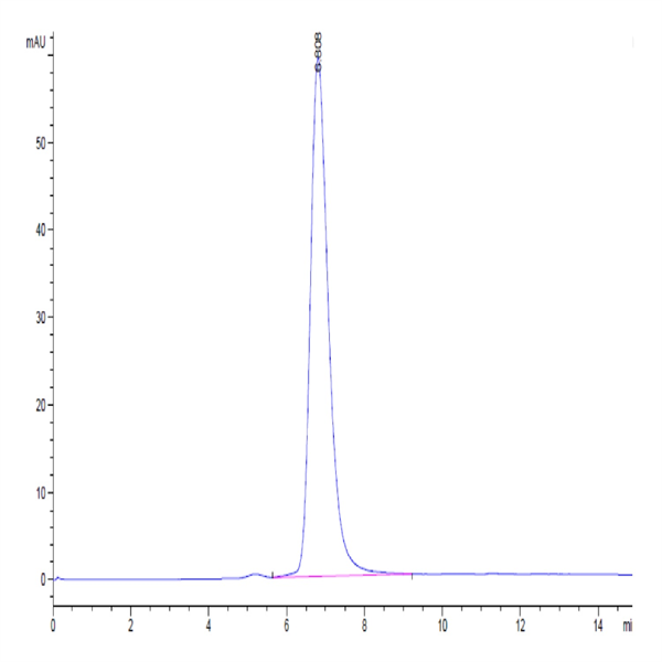 Human IFN alpha/beta R1 Protein (IFN-HM4R1)