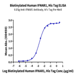Biotinylated Human IFN alpha/beta R1 Protein (IFN-HM4R1B)
