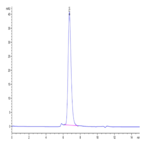Biotinylated Human IFN alpha/beta R1 Protein (IFN-HM4R1B)