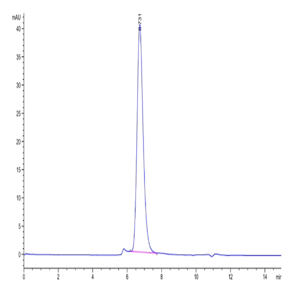 Biotinylated Human IFN alpha/beta R1 Protein (IFN-HM4R1B)