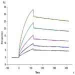 Mouse IFN alpha 1 Protein (IFN-MM2A1)