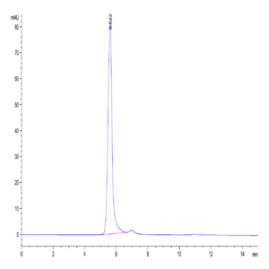 Mouse IFN alpha/beta R1 Protein (IFN-MM2R1)
