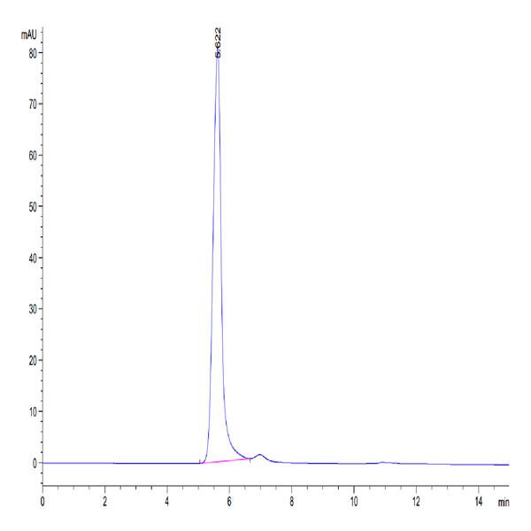 Mouse IFN alpha/beta R1 Protein (IFN-MM2R1)