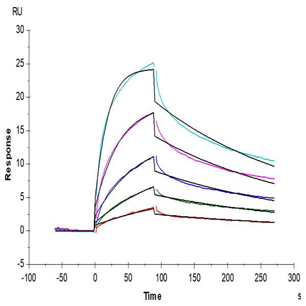 Mouse IFN alpha/beta R1 Protein (IFN-MM4R1)