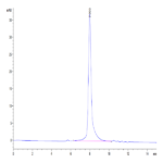 Mouse IFN alpha/beta R1 Protein (IFN-MM4R1)