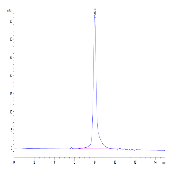 Mouse IFN alpha/beta R1 Protein (IFN-MM4R1)