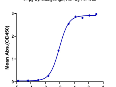 Cynomolgus IgE Protein (IGE-CM401)
