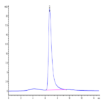 Cynomolgus IgE Protein (IGE-CM401)