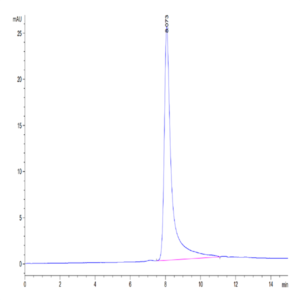 Mouse IgE Protein (IGE-MM101)