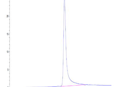 Mouse IgE Protein (IGE-MM101)