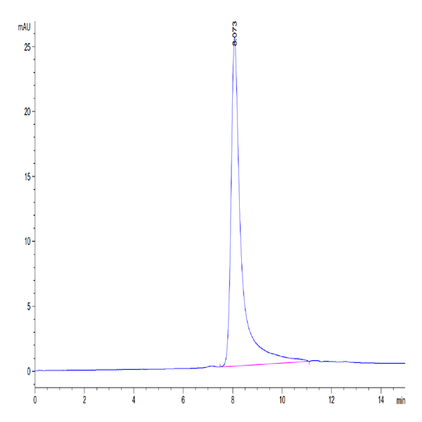 Mouse IgE Protein (IGE-MM101) Mouse IgE Protein (IGE-MM101)